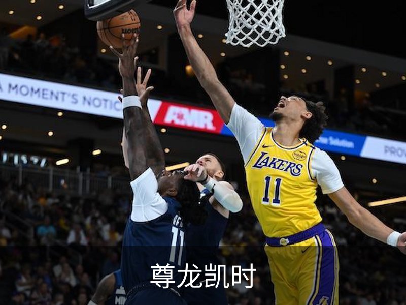 尊龙凯时概况